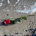 Ξενοδοχείο Strandhaus - Adults Only