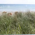 Strandhaus - Adults Only 4* Lübeck