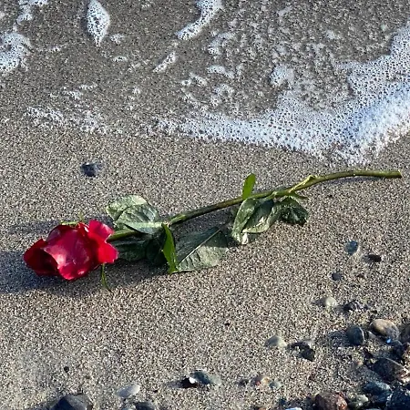 Hotel Strandhaus - Adults Only