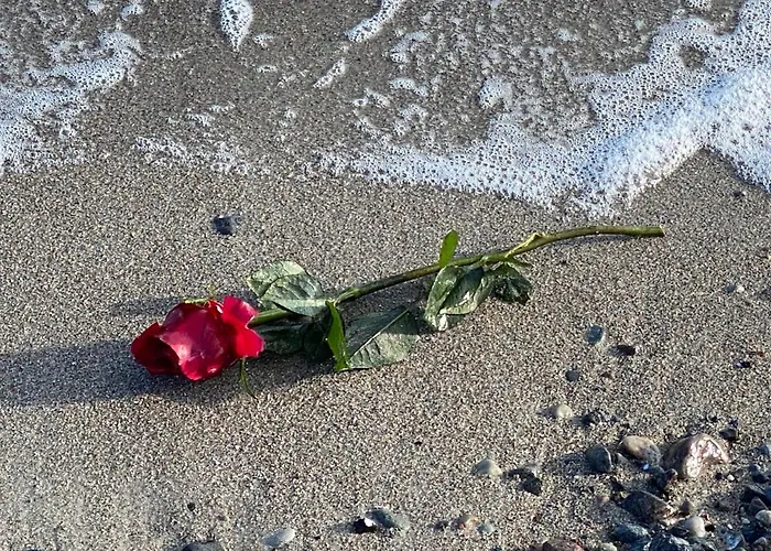 Hotel Strandhaus - Adults Only